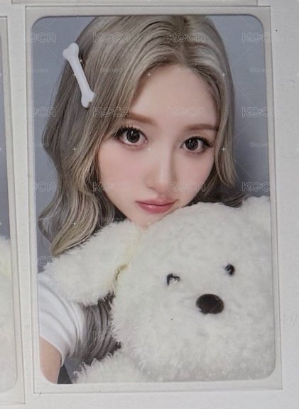 狗狗秋