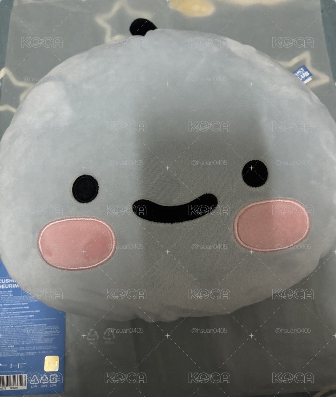 允真抱枕