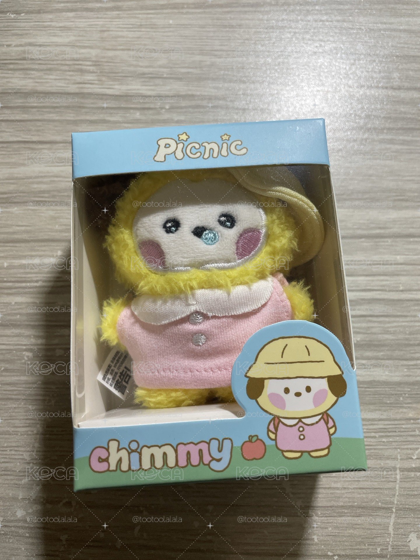 BT21野餐系列