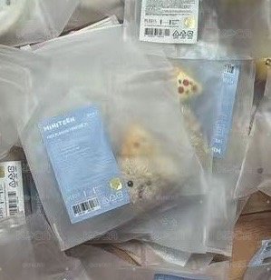 碩 大頭吊飾 月底-8月初到貨