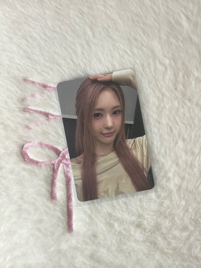 ✨摸摸頭🐰