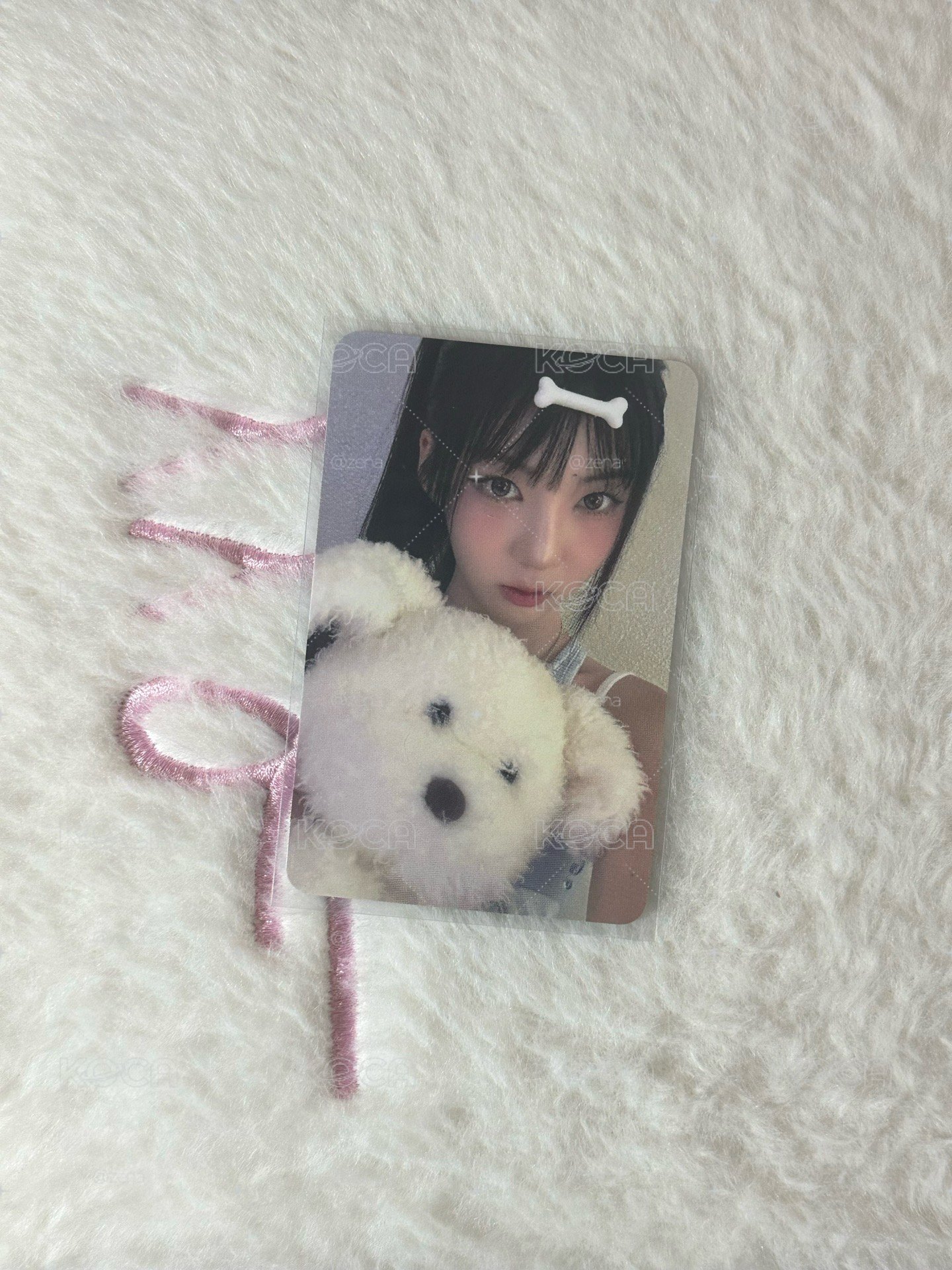 🫧hl小狗🐹