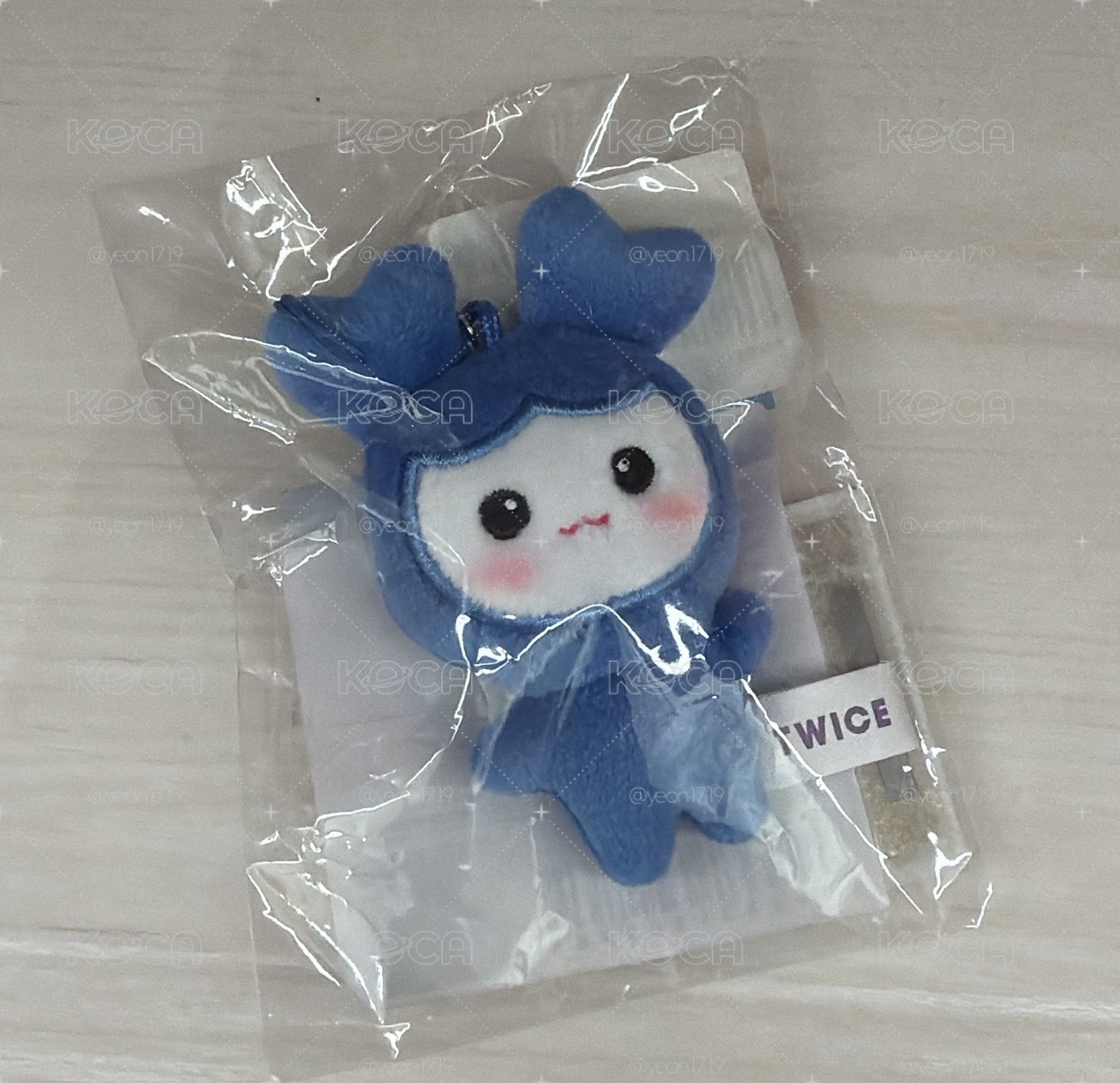 TWICE 豆豆娃 子瑜