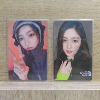[現貨] LEESEO x THE NORTH FACE 1.0 代言卡 瑞