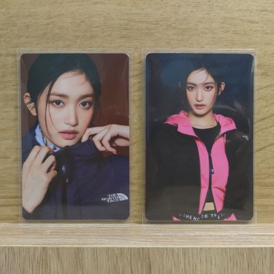 [現貨] LEESEO x THE NORTH FACE 1.0 代言卡 瑞