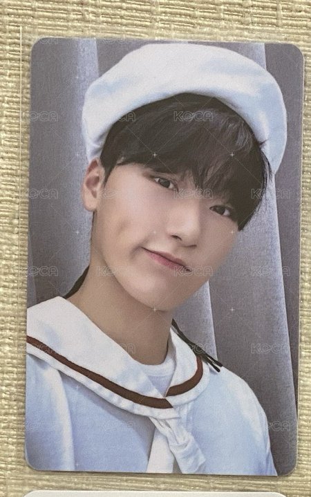 小狼（🌟50）