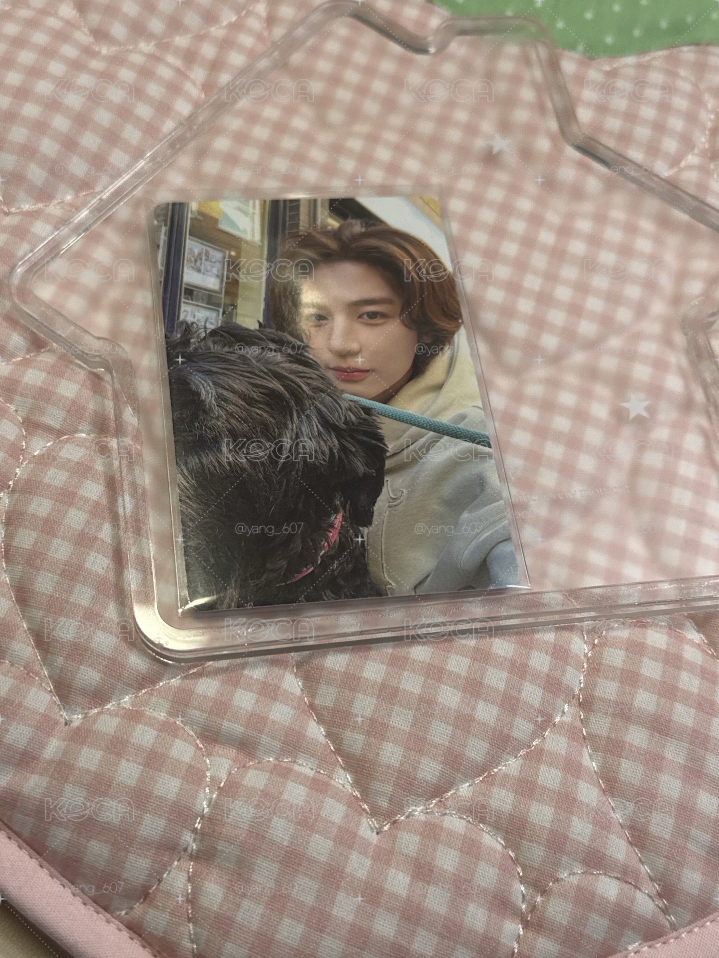 HOW? 單封 專輯卡 Sticker ver.