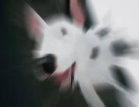 饅頭