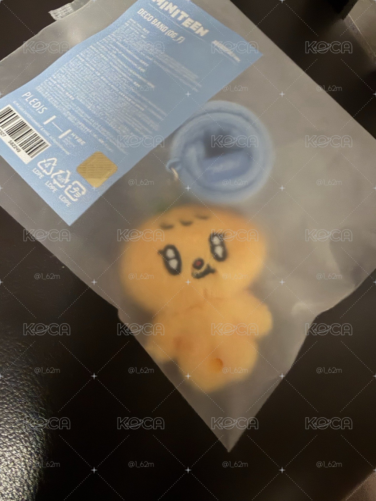 寛手燈環