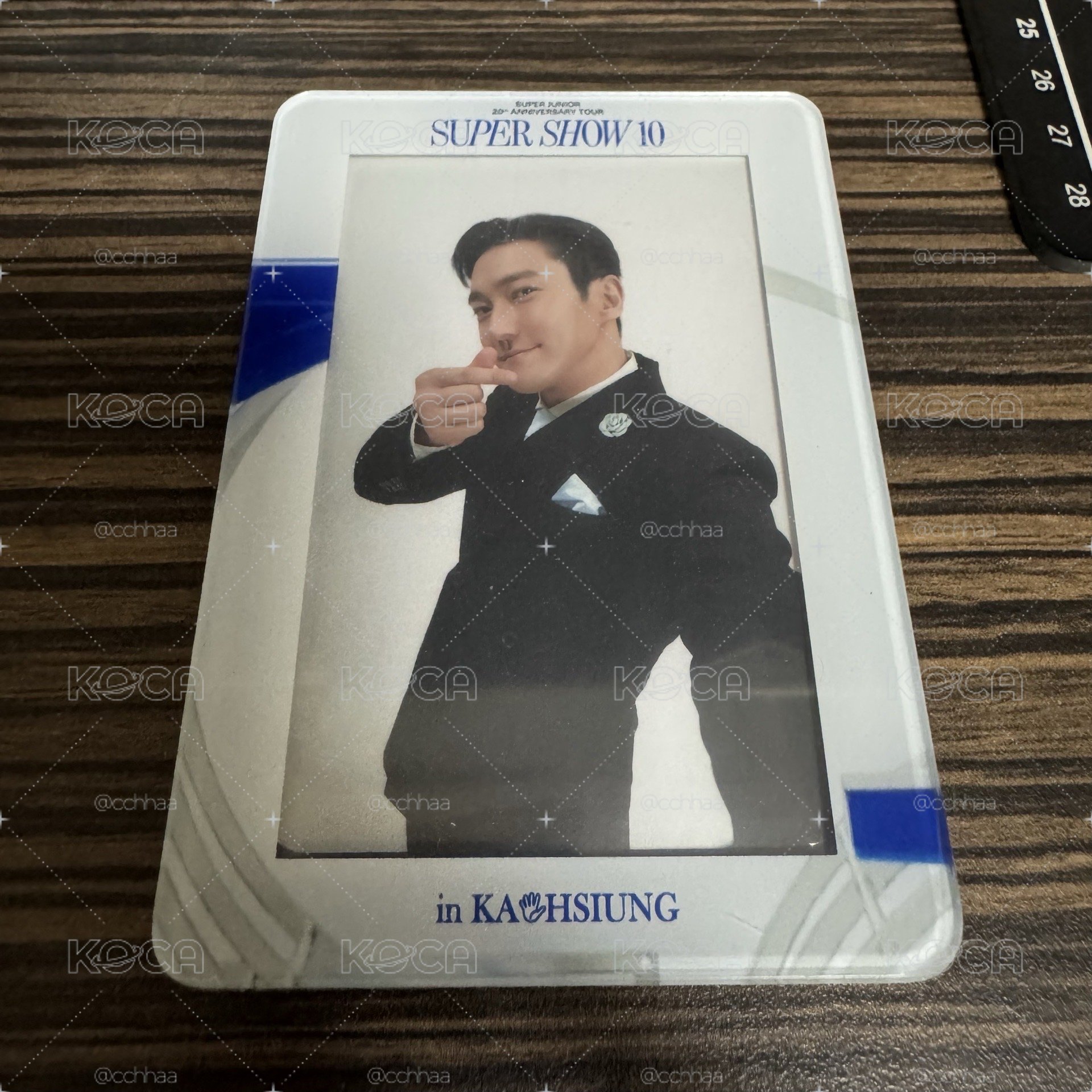 厲旭 小糰子