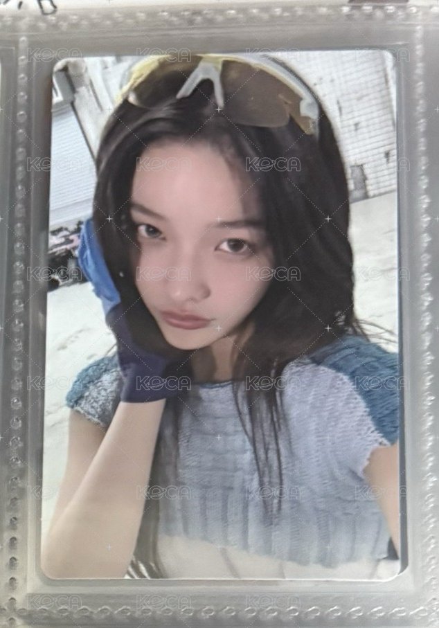 wvs 直播卡