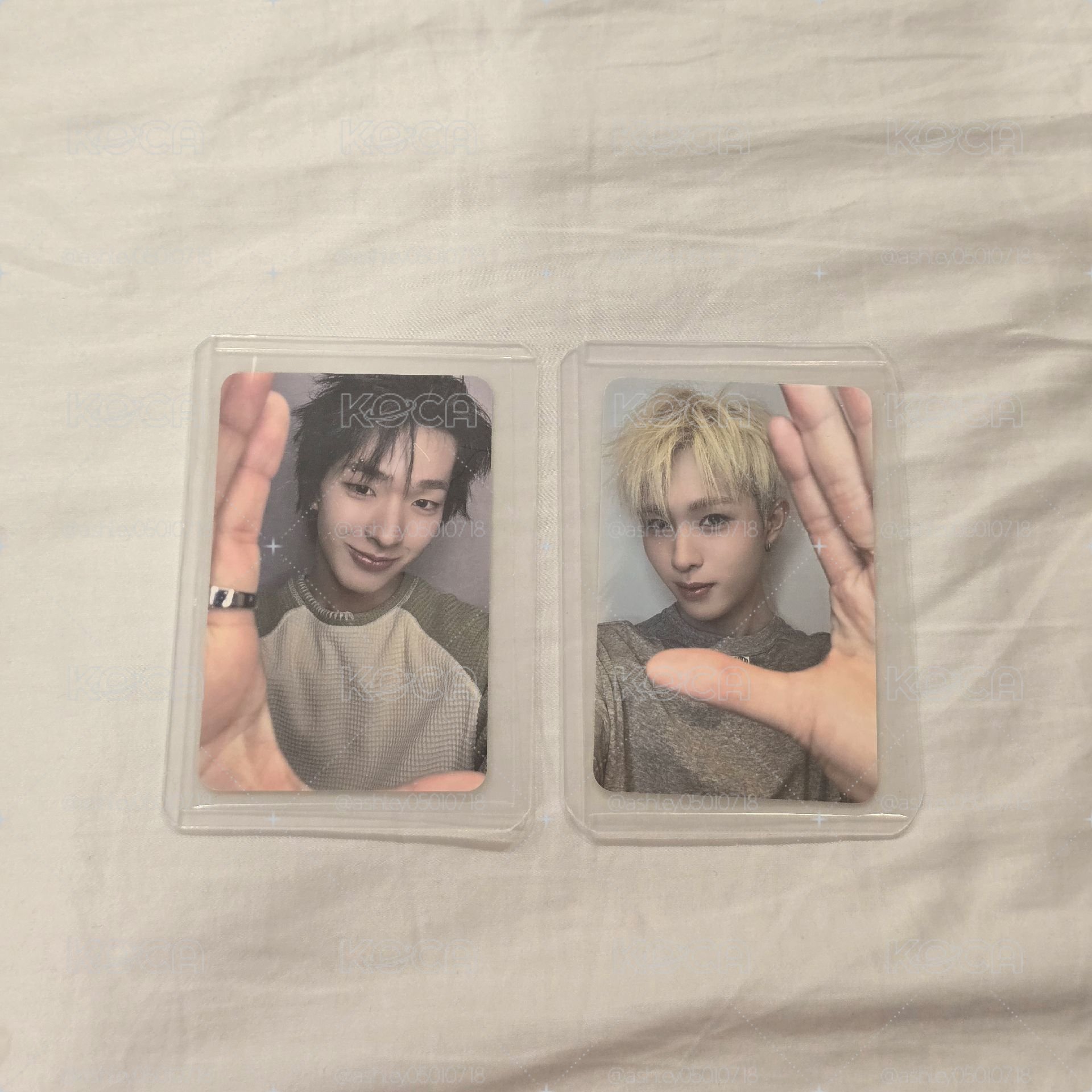 MS合照會 🐧🐿