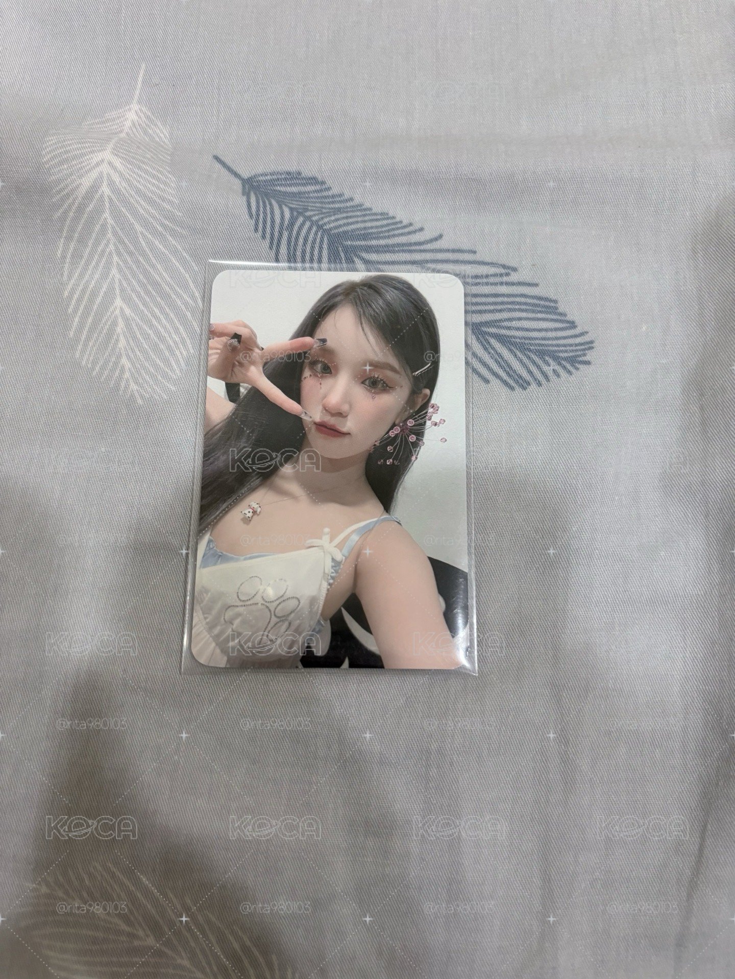 蝴蝶琦🦋