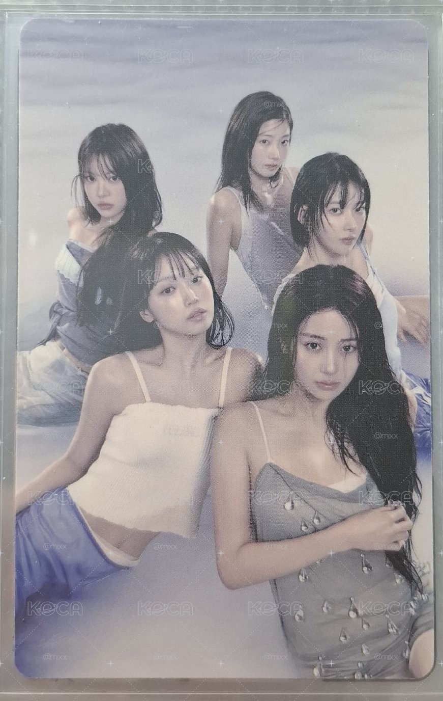 wvs單封預售團卡