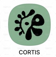 Cortis 安 訓 團 (衣)手燈 毛巾