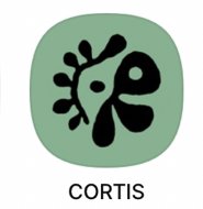 Cortis 安 訓 團 衣 手燈 毛巾