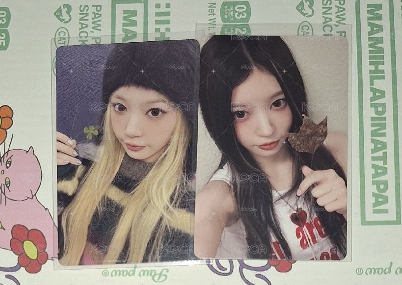 幸運草萌+楓葉萌