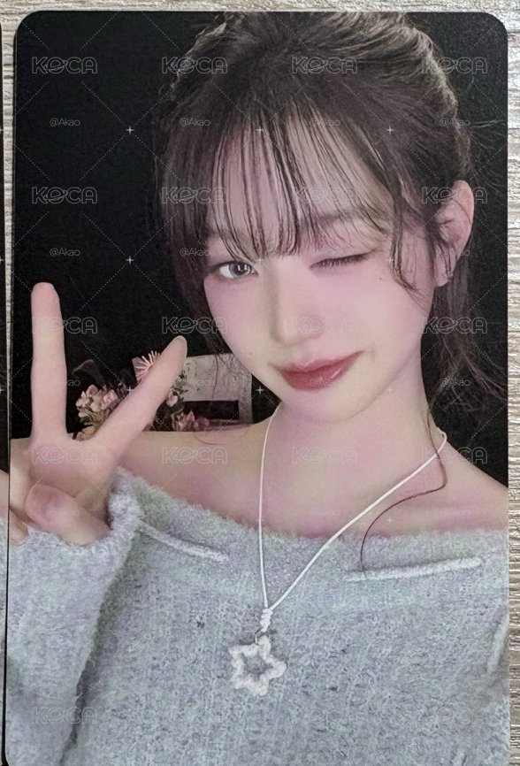 員全專可直拍