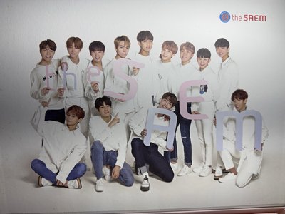 手繪版Seventeen The Saem 護手霜+海報