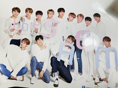 手繪版Seventeen The Saem 護手霜+海報