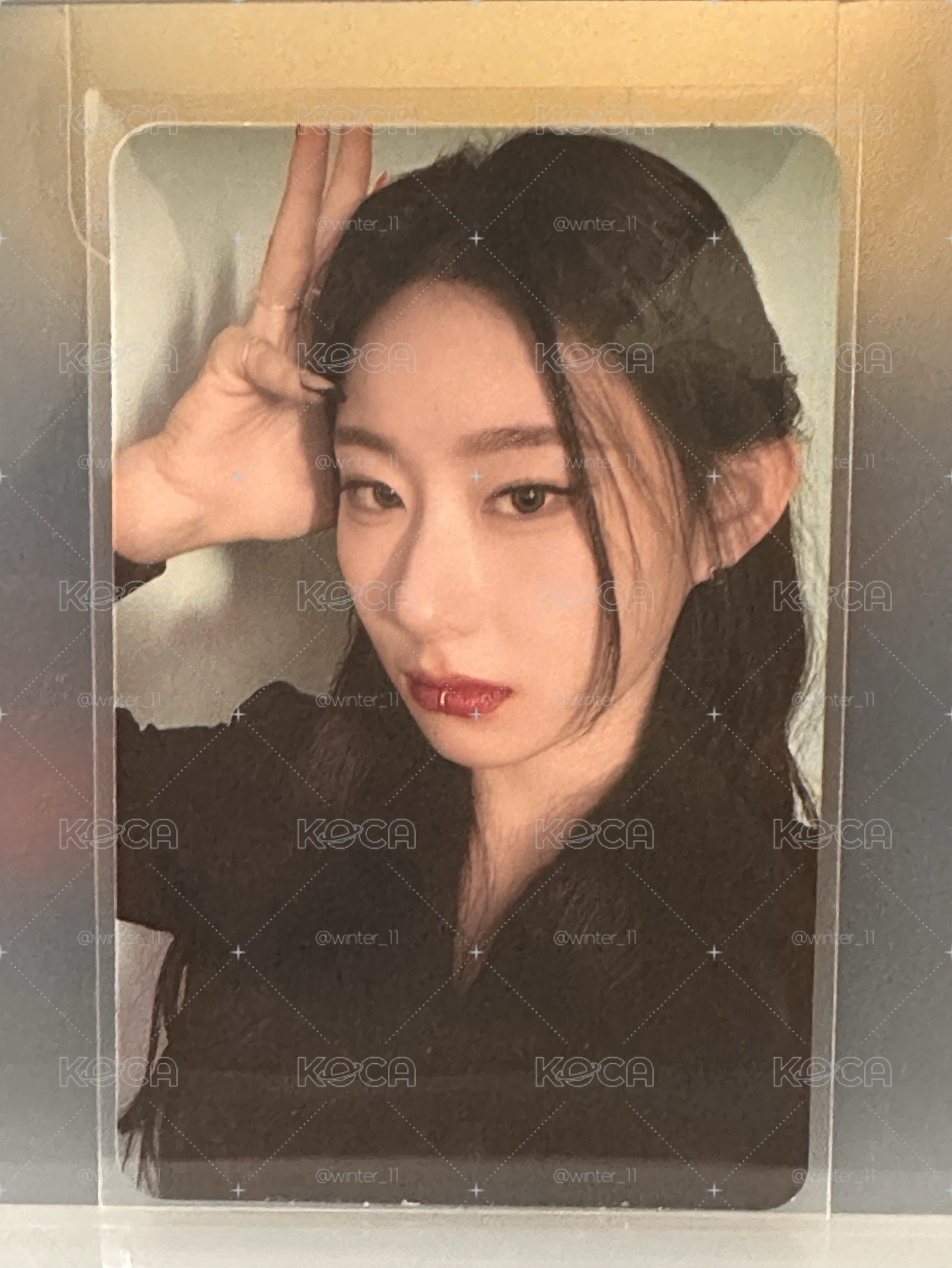 彩領小卡