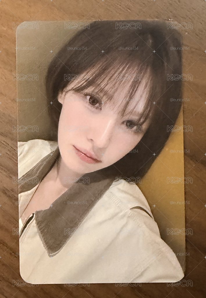 全新 2026櫻花季 Wendy 