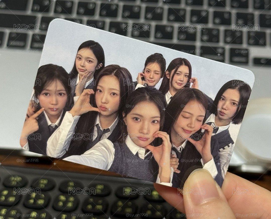 focus 專卡