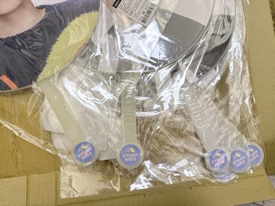 全新現貨 線下購入 Stray Kids 6th FM 場週 大扇