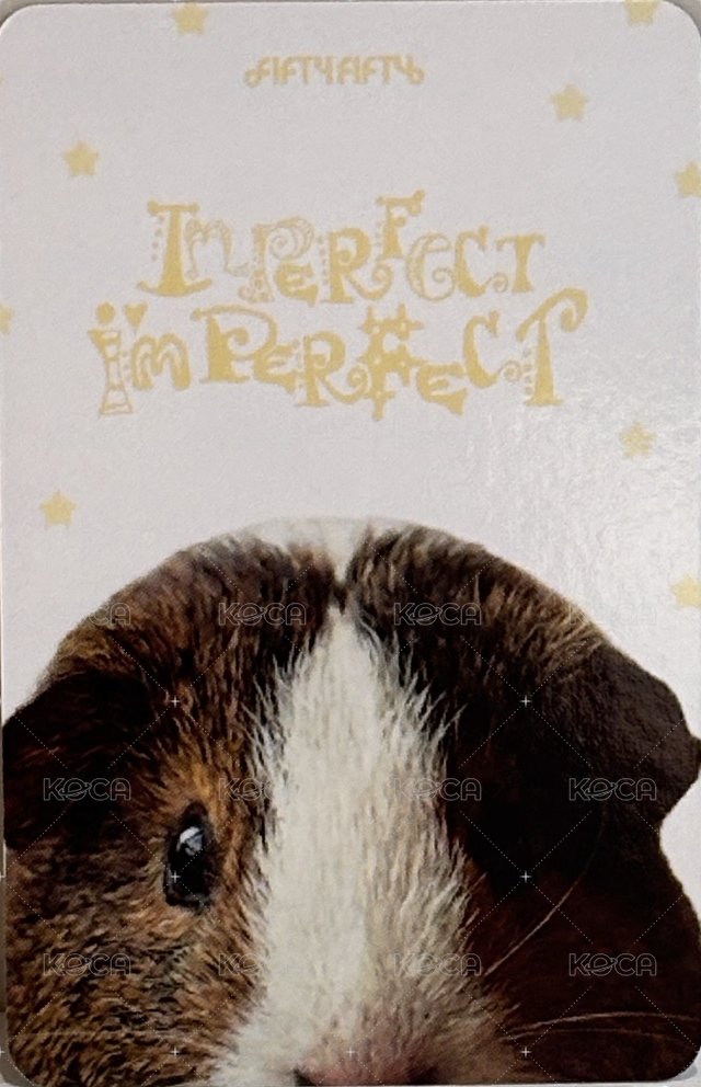Imperfect-I'mperfect hl 簽售卡 🐹기니피그🐷 ver. 背面