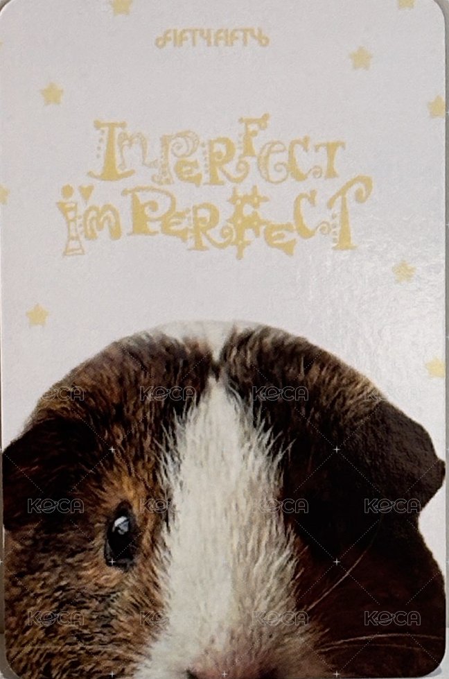 Imperfect-I'mperfect hl 簽售卡 🐹기니피그🐷 ver. 背面