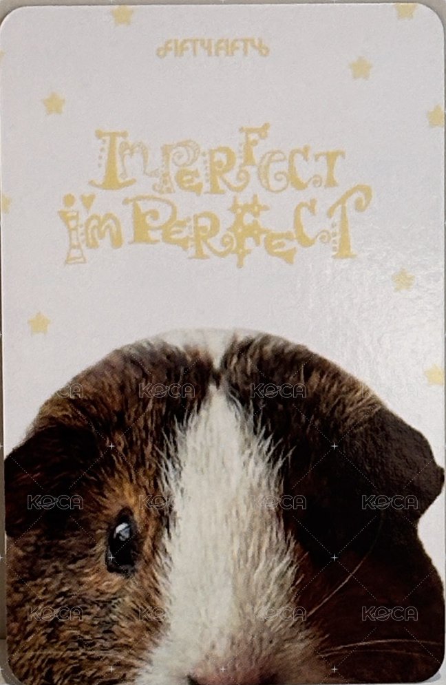 Imperfect-I'mperfect hl 簽售卡 🐹기니피그🐷 ver. 背面