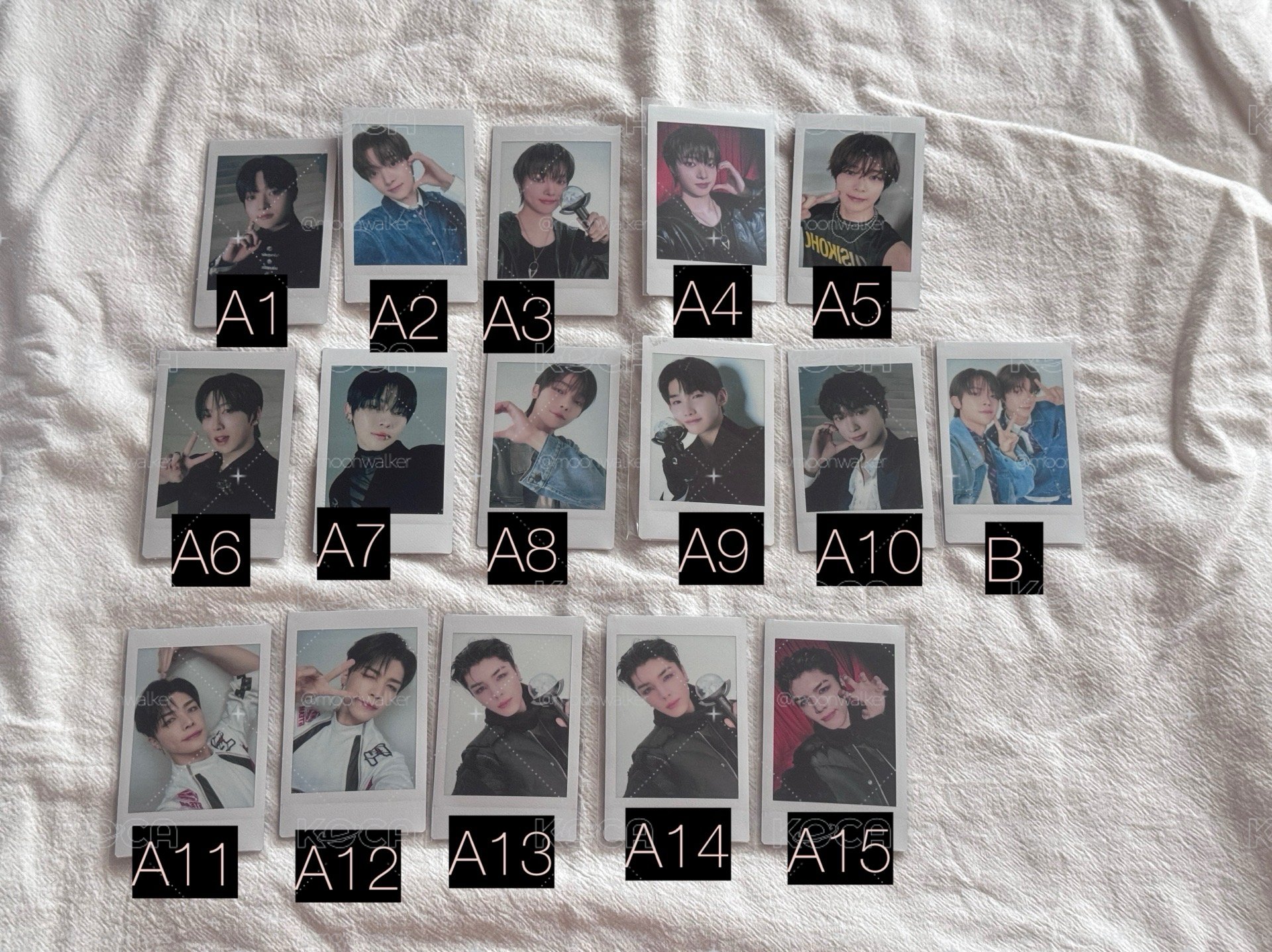 &TEAM 拍立得