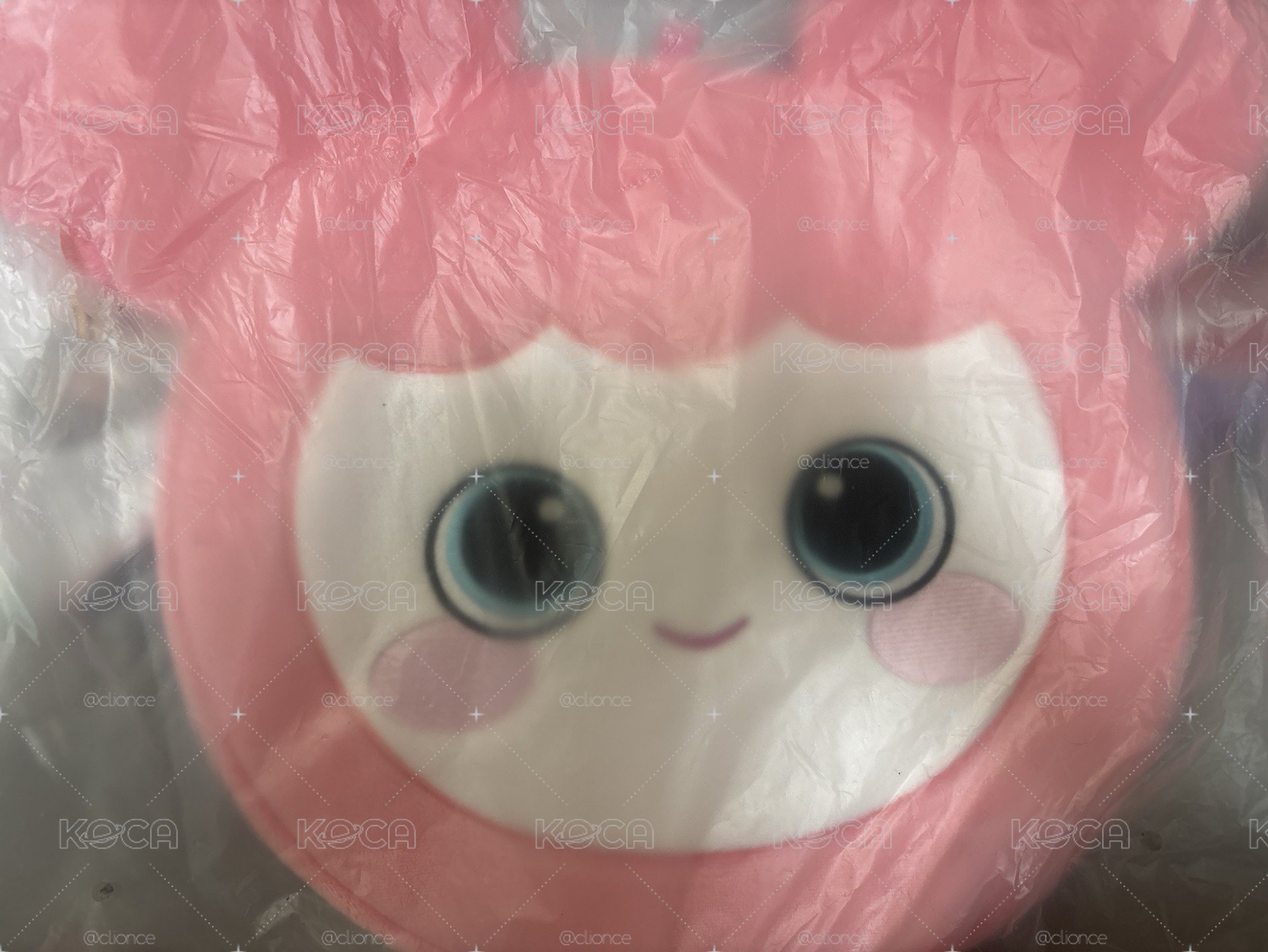 桃扇套