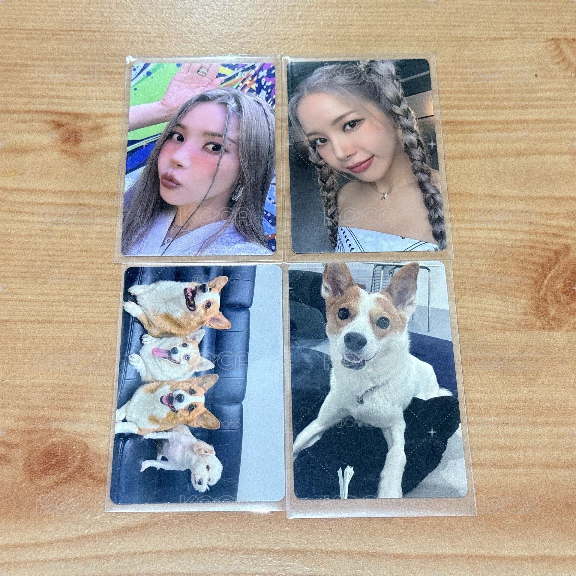 MAMAMOO + 專卡