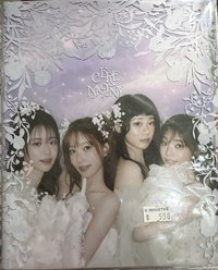 紫版未拆專（燕吊飾）