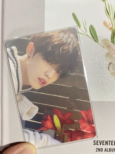 SVT 🌟正二 白版哲卡+全專
