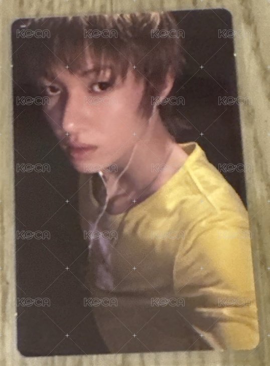 黃衣丁