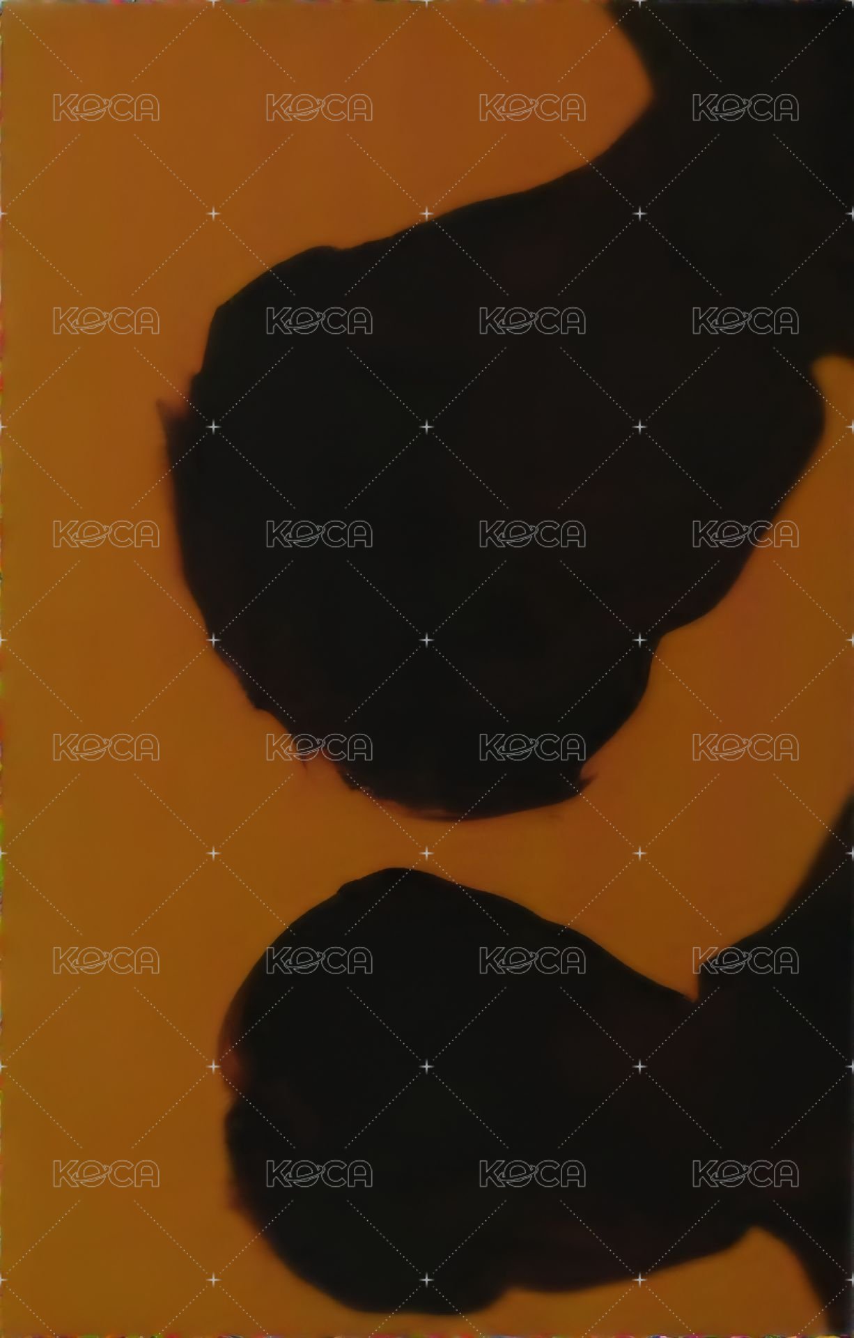 迷七 專輯卡  背面
