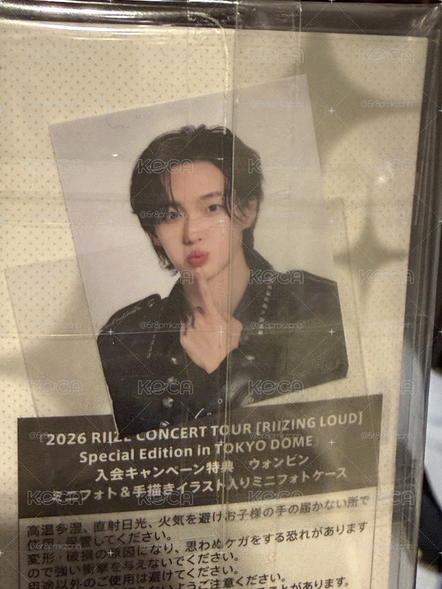 日會證件照彬