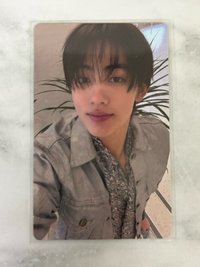 Wvs預售
