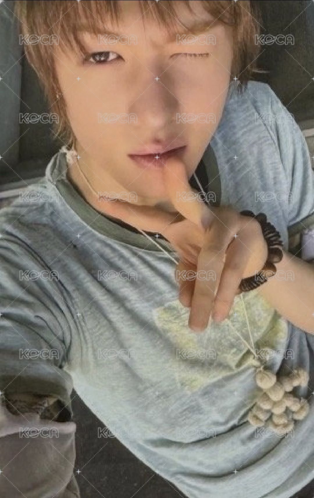迷二環球預售馬