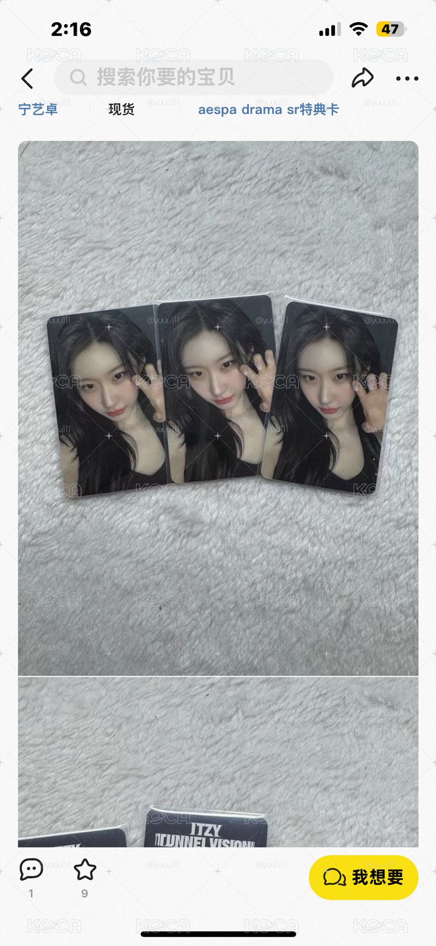 dg 彩領貓爪