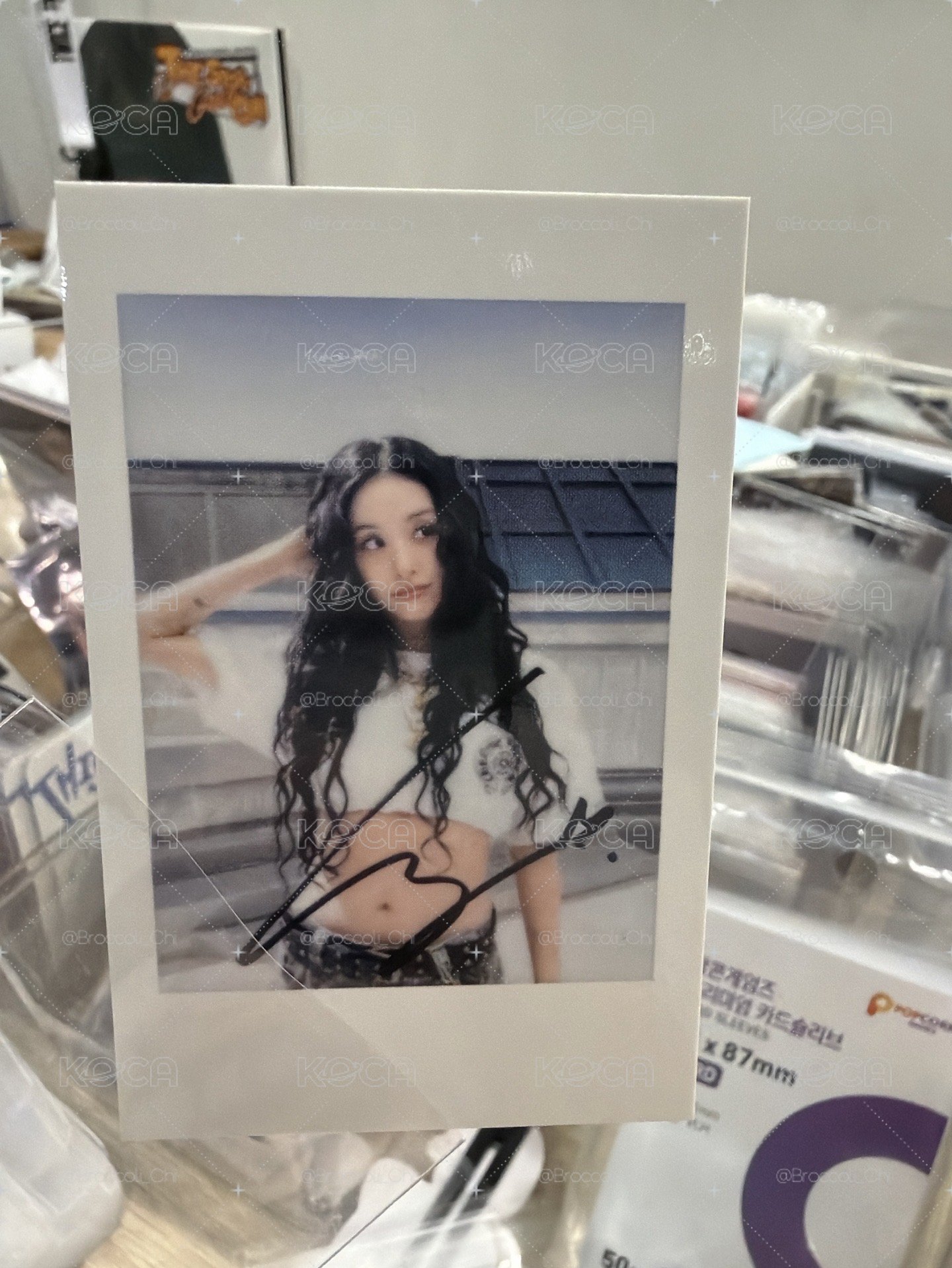 彩彩卷毛拍立得🍓 1️⃣元起標💰