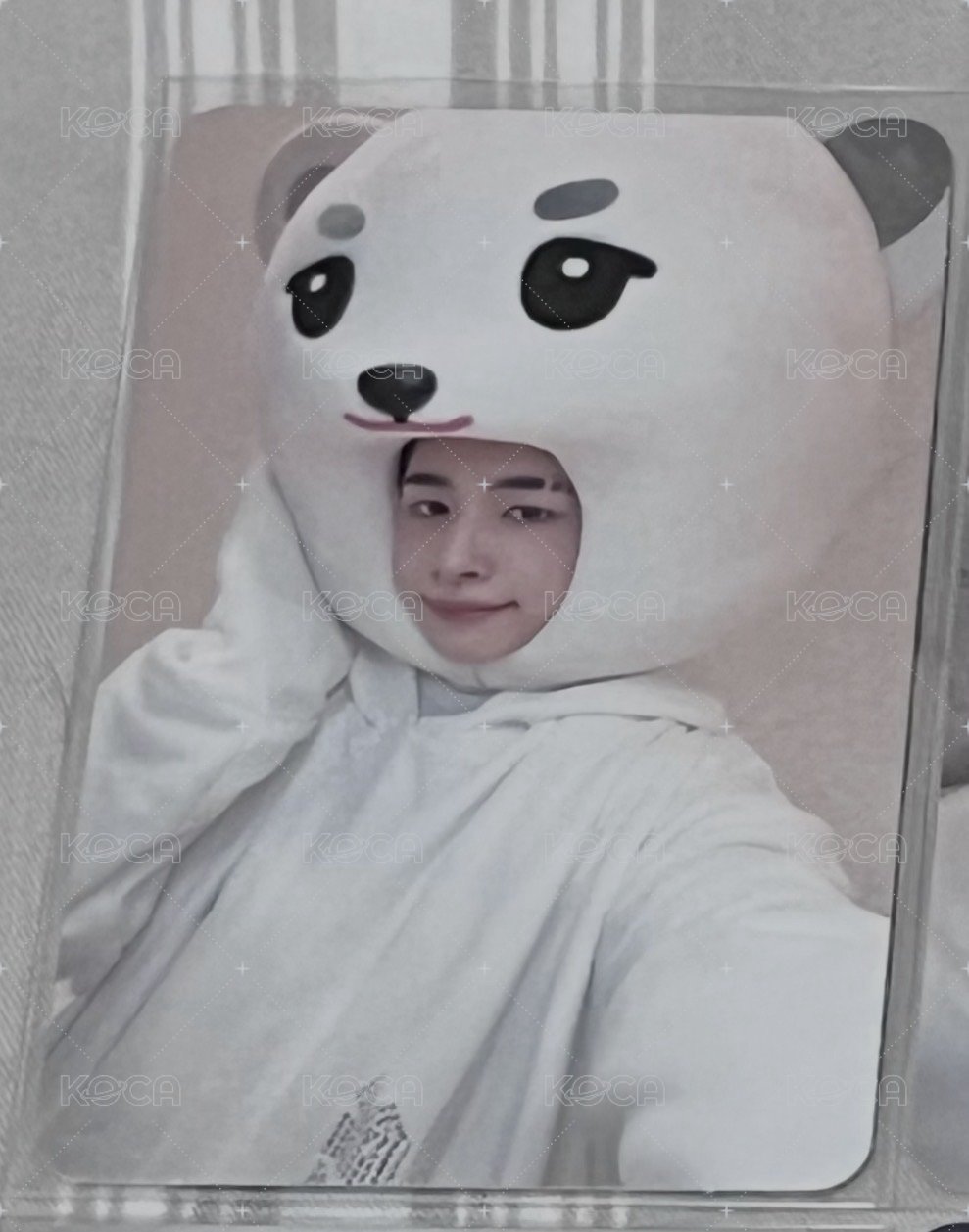 🐻‍❄️NEXZOO卡（需綁一張專卡）