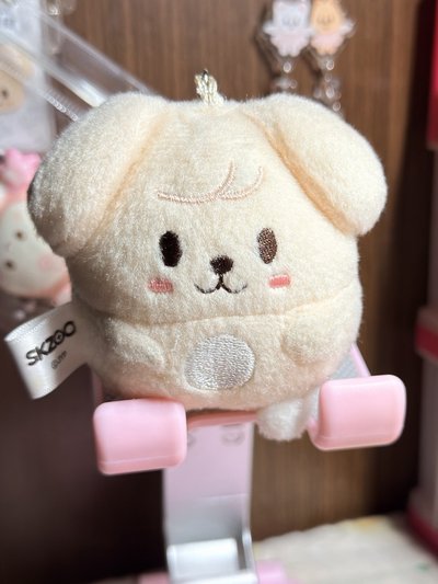 帕皮動物方程式