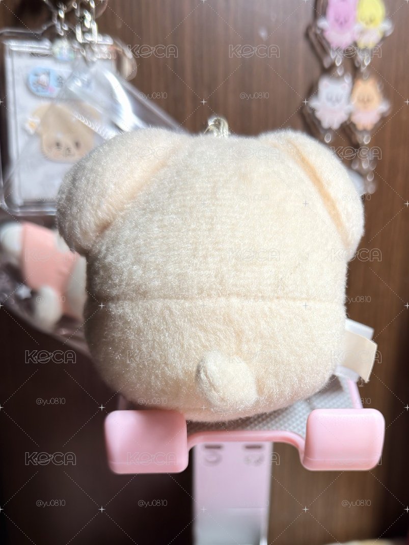 帕皮動物方程式