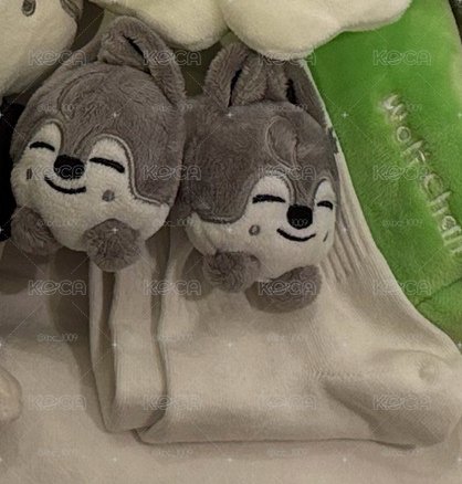 沃夫燦襪子