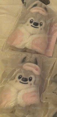 六期飯咪睡覺娃