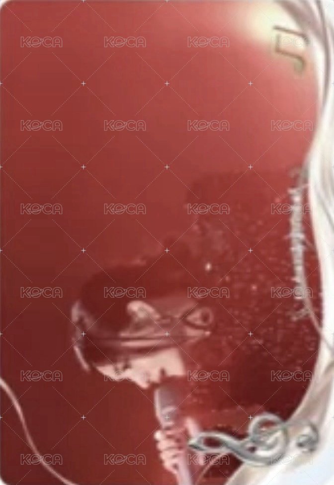 天賜 1.0 謐音包 B級卡 隨機卡 聚光舞台卡 背面