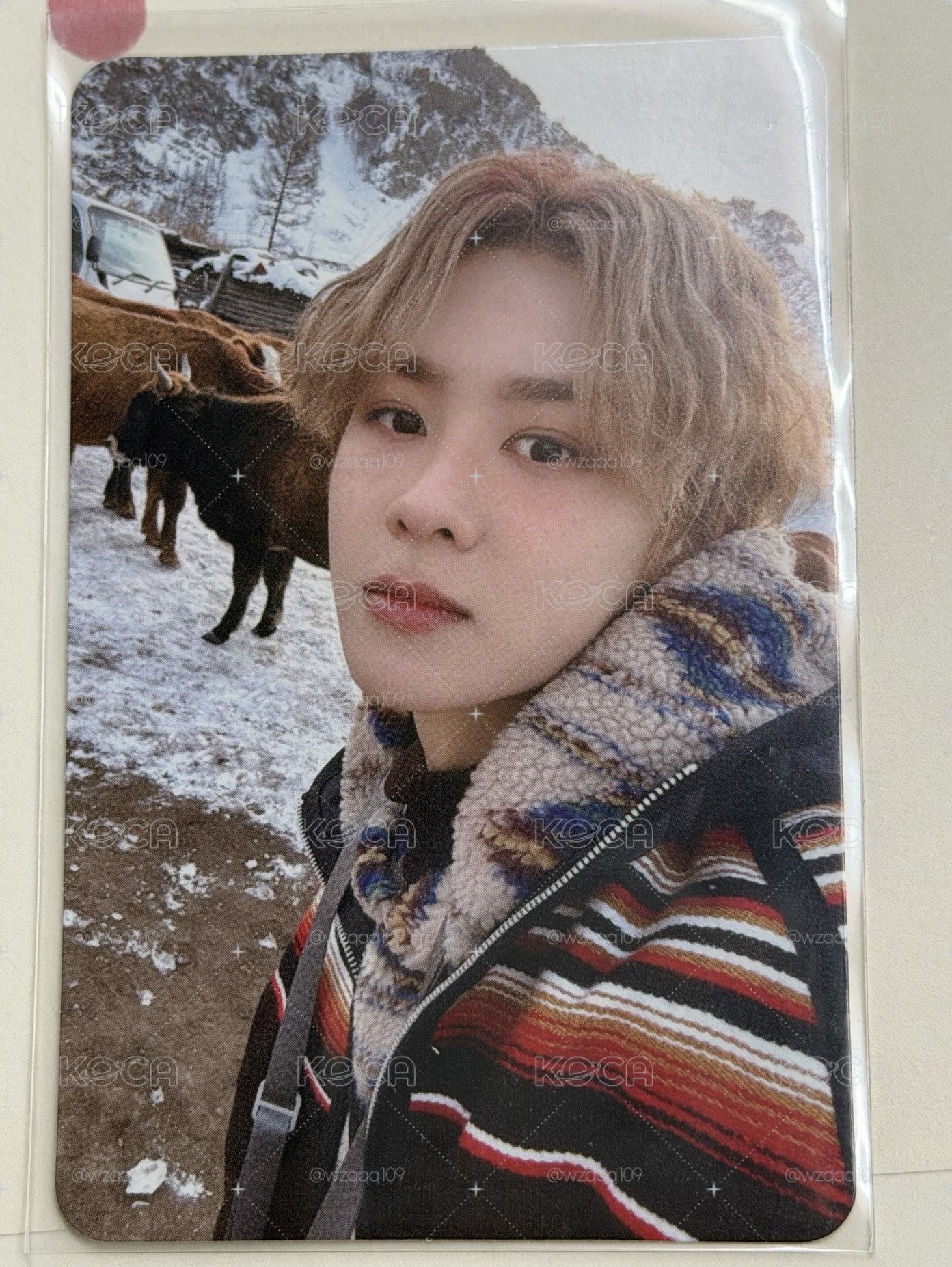 Kun NCT2023小卡
